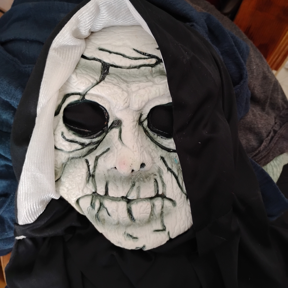 Spooky White and Black Halloween Mask